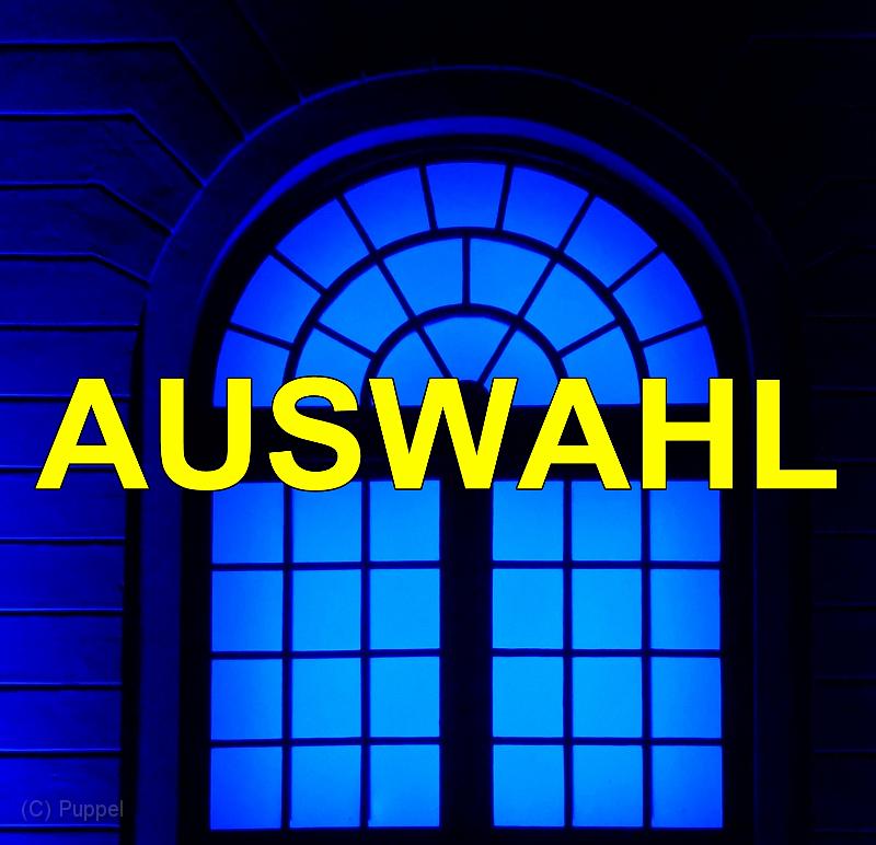 A Wintervariete Auswahl.jpg
